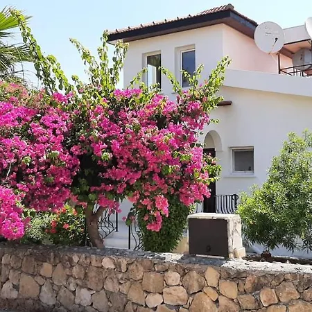 Bougainvillea With Privite Pool Villa Vasilia