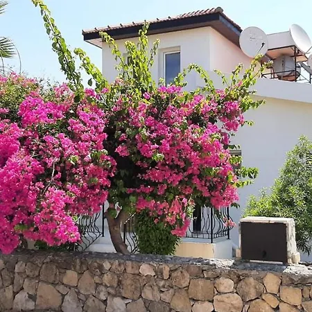 Bougainvillea With Privite Pool Villa