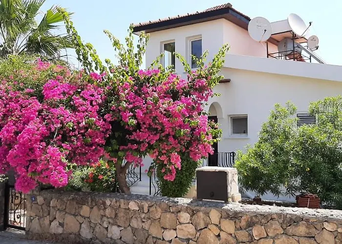 Bougainvillea With Privite Pool ヴィラ Vasilia