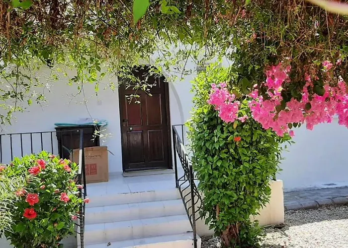 Bougainvillea With Privite Pool ヴィラ Vasilia